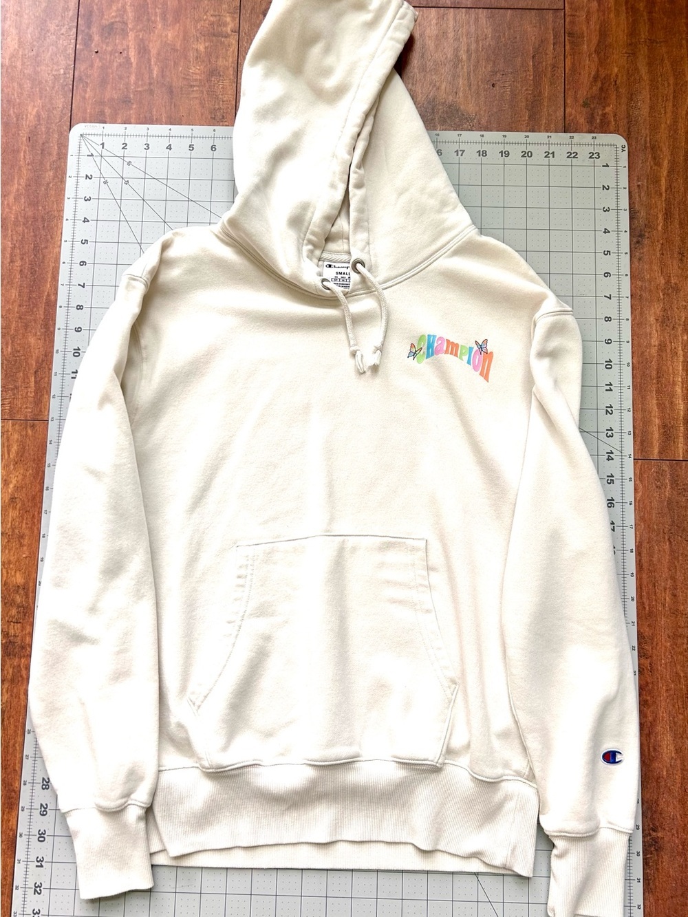 Champion “Be Kind To All Kinds” Earth Butterfly Graphic Hoodie Y2K Classic Sz S